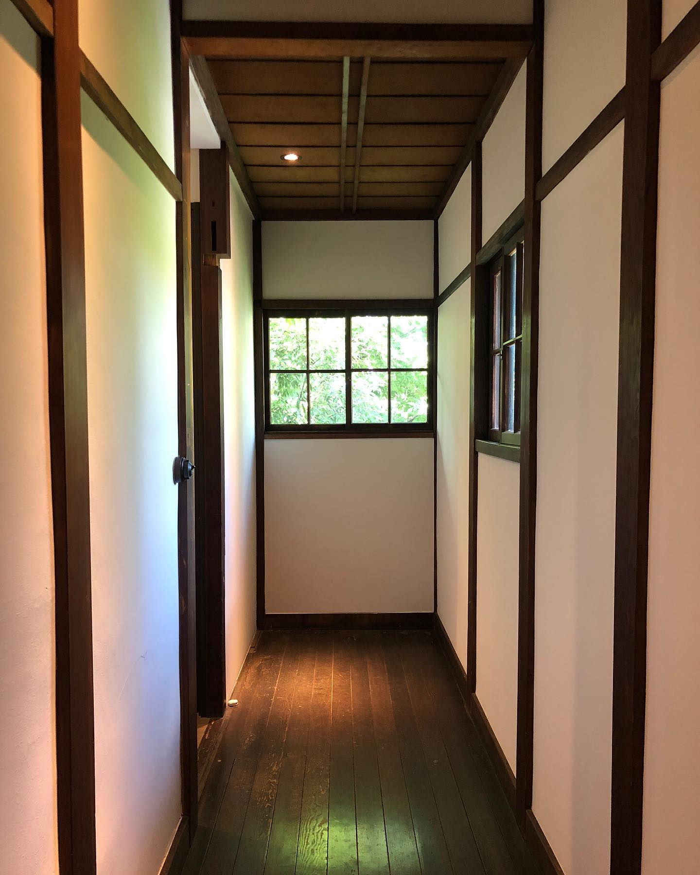 NTSの入居する「ノクチカ」の窓からみえる緑がとても鮮やかだったので思わずパチリ！夏ですねぇ。8月ですねぇ。「千と千尋」の音楽が似合いそうな我が社の風景です。システム構築、WEBデザインのご相談はぜひNTSに♪♪#NTS#IT#ITソリューション#システム構築#WEBサイト制作#HP制作会社#神奈川県#溝の口#ノクチカ#nokutica#sitedesign#ウェブデザイン