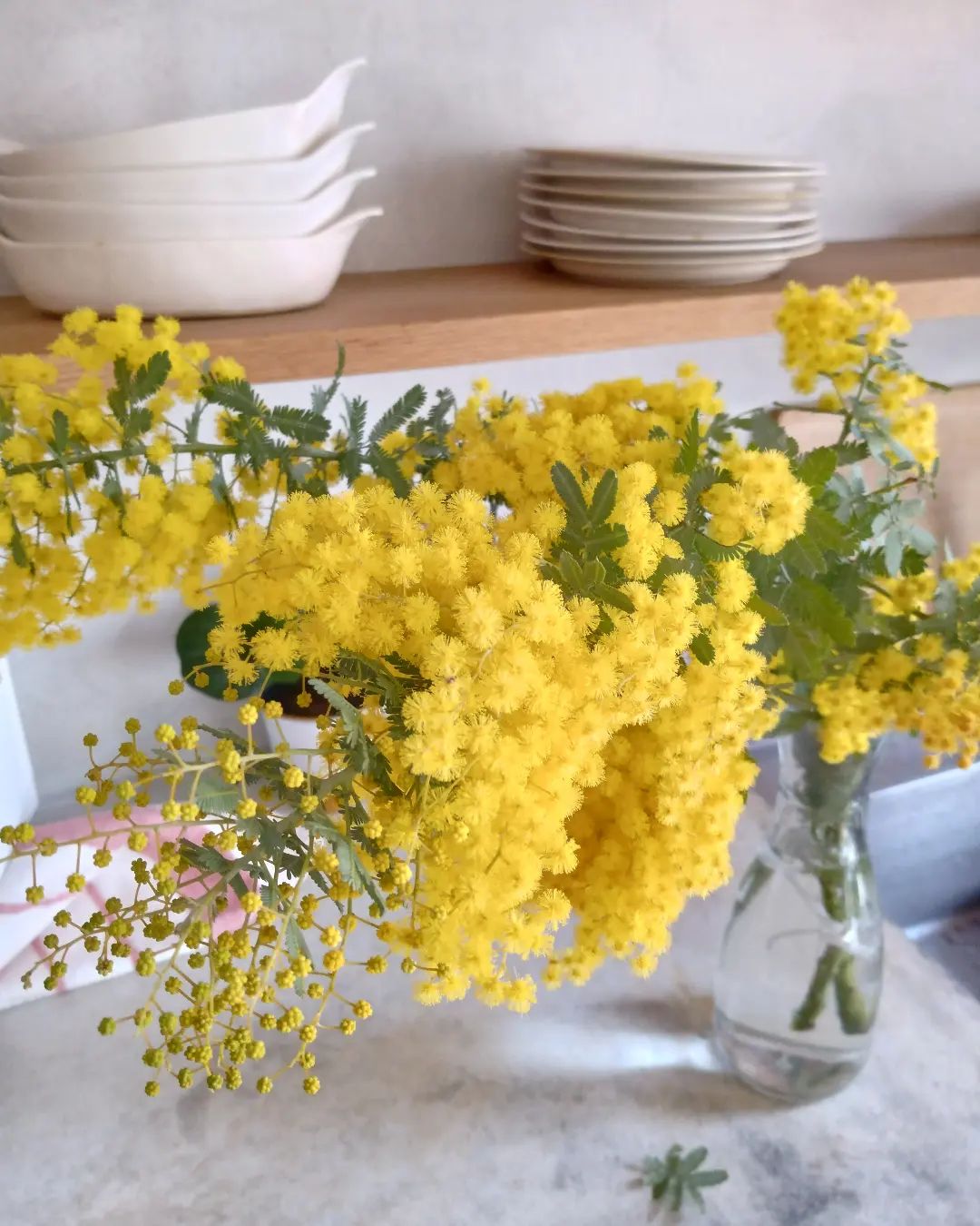 こんにちは！NTSです。先週くらいから急に春めいてきましたね〜近所のお花屋さんですごくきれいなミモザの花を見つけたので、思わず買ってしまいました！皆様のところにも爽やかな春が来ますようにシステム構築、WEBデザインのご相談はぜひNTSに♪#NTS#IT#ITソリューション#システム構築#WEBサイト制作#HP制作会社#神奈川県#sitedesign#サイトデザイン